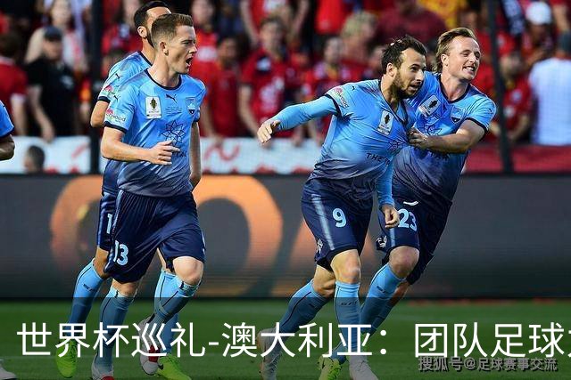 世界杯巡礼-澳大利亚：团队足球力量大，老将“外援”联手造奇迹